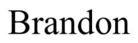 Trademark logo