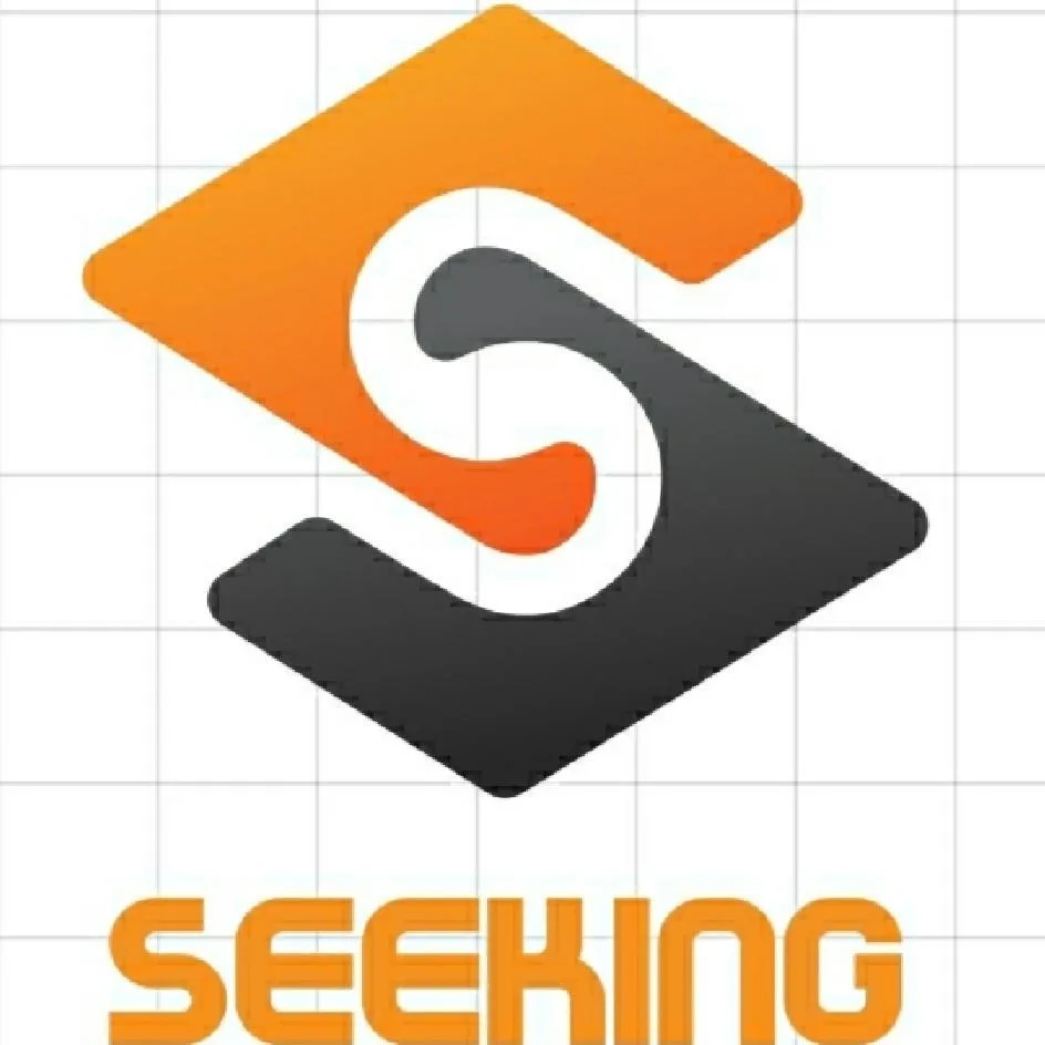SEEKING logo