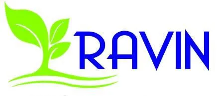 RAVIN logo