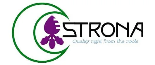 STRONA logo