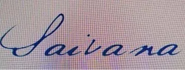 SAIVANA logo
