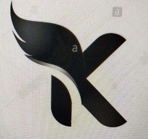 Device of K logo