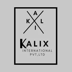 KALIX INTERNATIONAL PRIVATE LIMITED logo