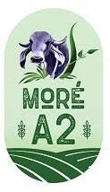 MORE A2 logo