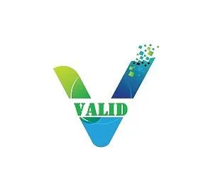 VALID logo