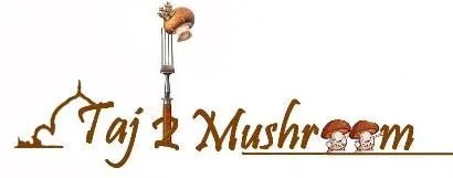 TAJ2MUSHROOM logo