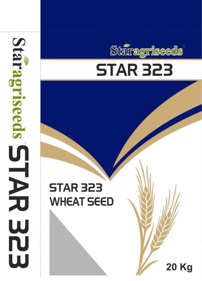 STAR 323 logo