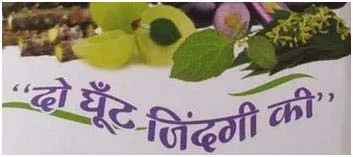 DO GHOONT ZINDAGI KI (SLOGAN IN HINDI) logo