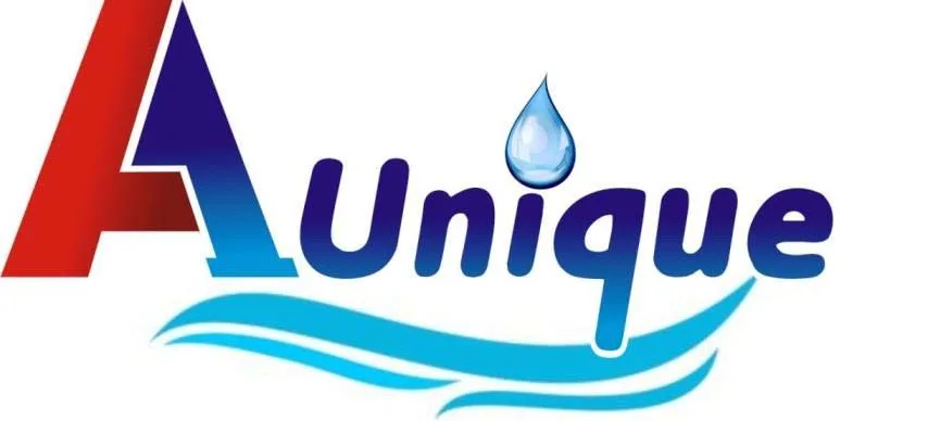 A1UNIQUE logo