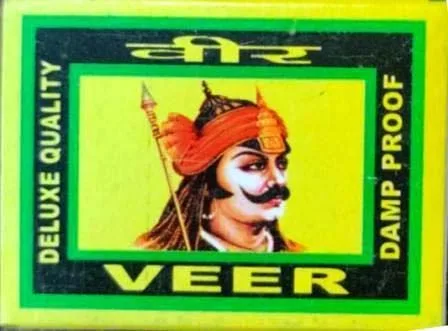 VEER logo