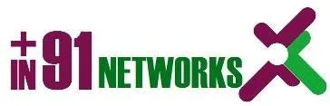 IN 91 NETWORKS logo