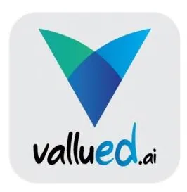vallued.ai logo