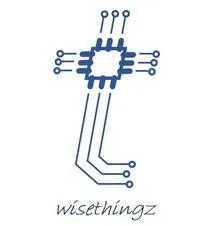 WISE THINGZ logo