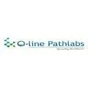 Q-line Pathlabs logo