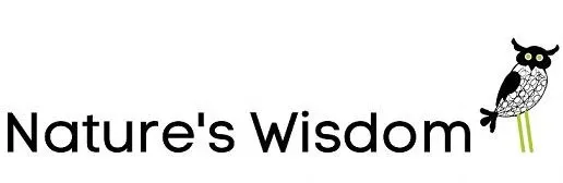 NATURE'S WISDOM WITH THE DEVICE OF OWL logo