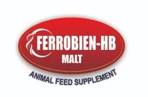 FERROBIEN - HB (LOGO) logo