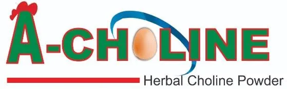 A-CHOLINE logo