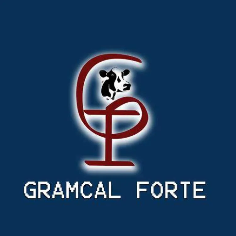 GRAMCAL FORTE WITH DEVICE OF GP logo