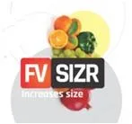 FV Sizr logo