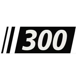 300 logo