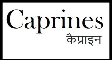 Trademark logo