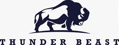 THUNDER BEAST logo