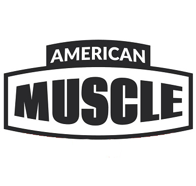 AMERICAN logo