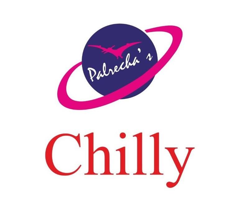 hilly logo