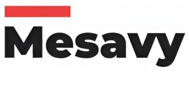 Mesavy logo