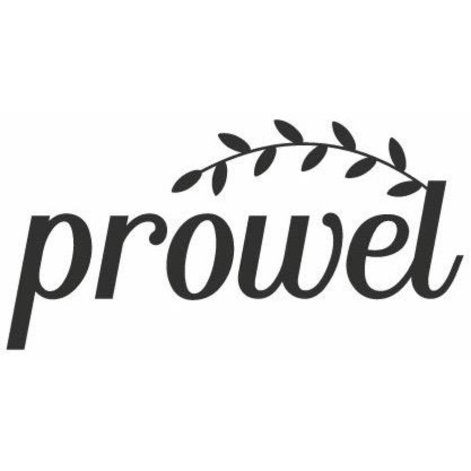 prowel logo