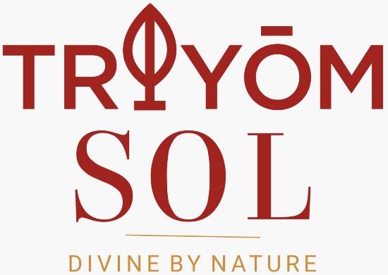 TROYOM SOL logo