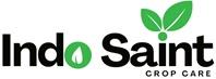 Indo Saint logo