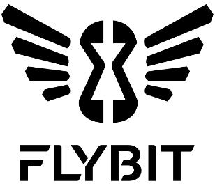 rLYBIT logo