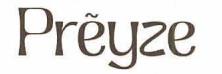 PREYZE logo