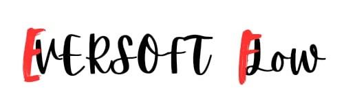 EVERSOFT FLOW logo