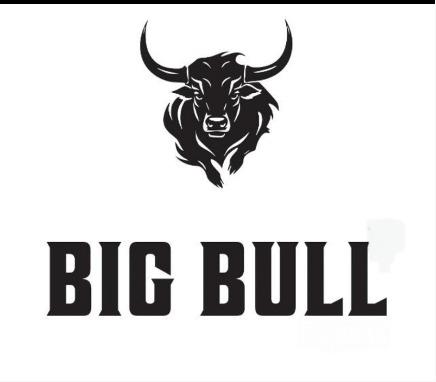 BIG BULL logo
