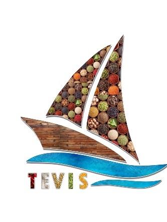 TEVIS logo