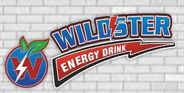 WILDSTER WITH DEVICE OF W logo