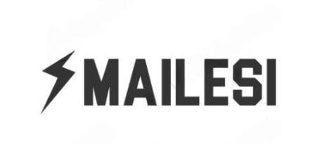 MAILESI logo