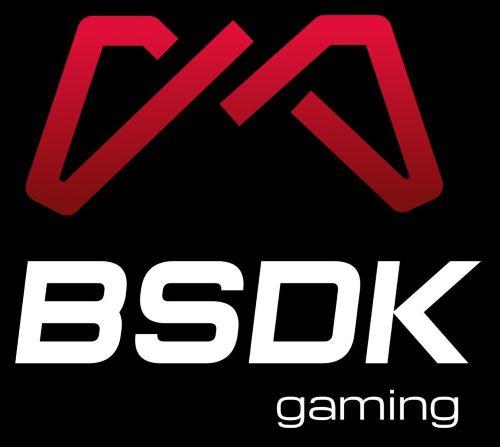 BSDK gaming logo