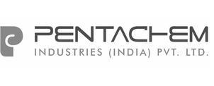 Logo featured stylized "P" in grey followed by "PENTACHEM INDUSTRIES INDIA PVT. LTD." written in sleek and modern design logo