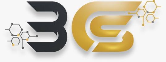 LOGO OF BCS logo