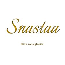 Snastaa logo