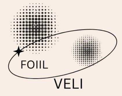FOIIL VELI logo