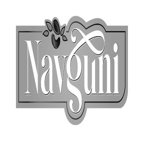 Navguni logo