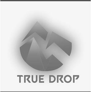 True Drop (With Device) logo
