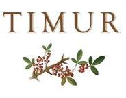 TIMUR logo