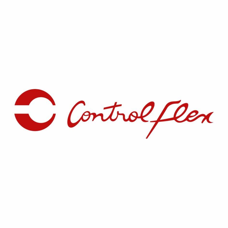 CONTROLFLEX logo