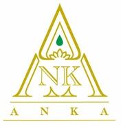ANKA WITH DEVICE IN GOLD COLOUR logo