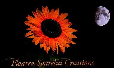 FLOAREA SOARELUI CREATIONS logo